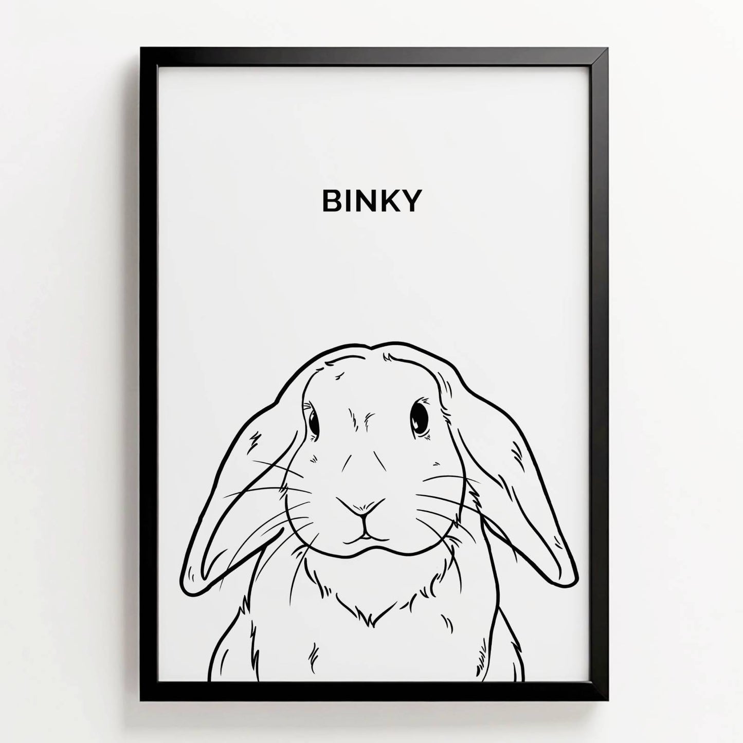 Zwart-wit lijntekening van konijn Binky met hangoren in zwarte lijst, met naam erboven